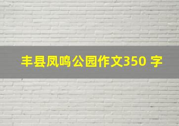 丰县凤鸣公园作文350 字